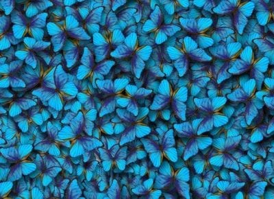 Conscious Chatter Podcast discuss Sustainability and the Butterfly Mark