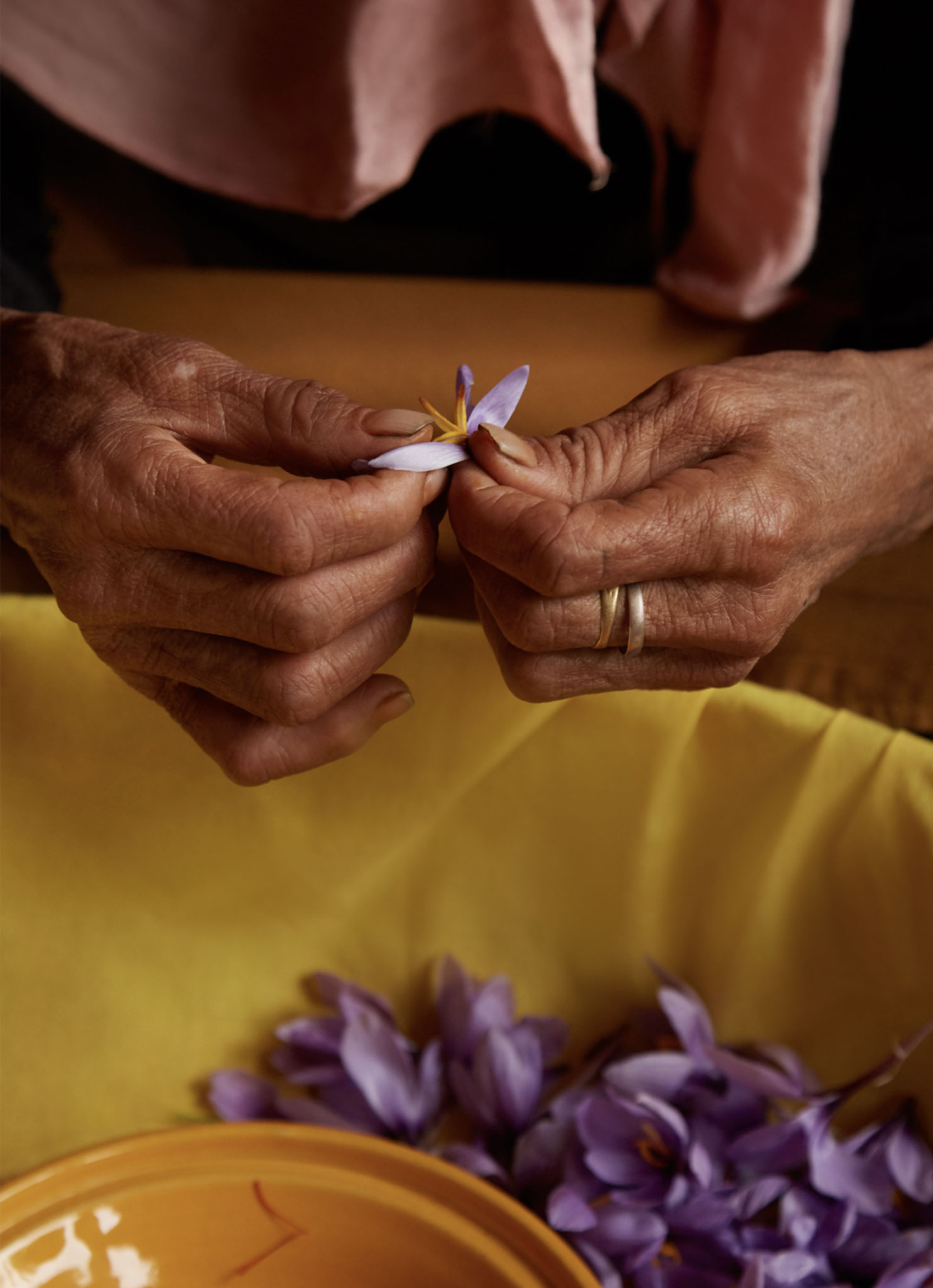 Woman picking local flowers in Morocco.