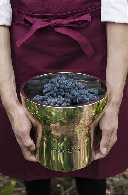 Krug-Vendanges-3-Crédits-BBDO2