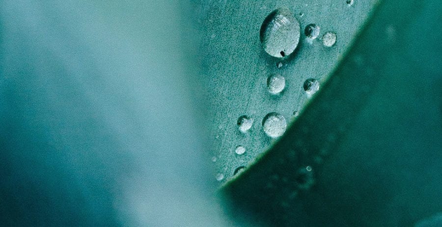 This Is What Sustainability Really Means