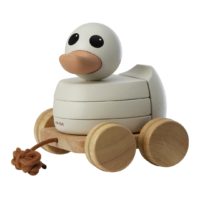HEVEA_RubberWood_2