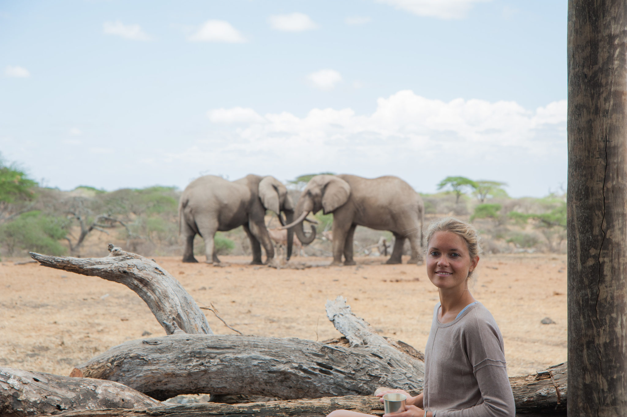Elephant Gin Tessa-Gerlach