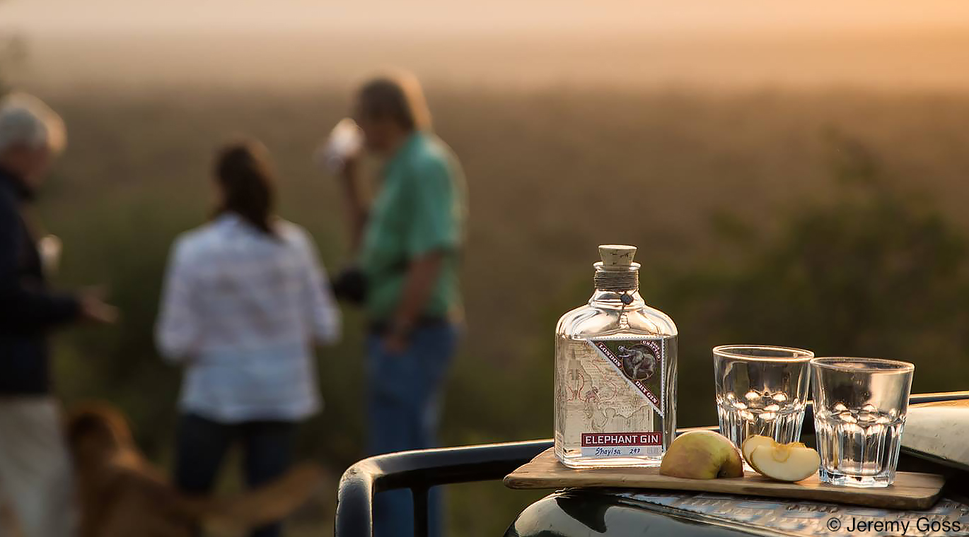 Elephant Gin Campaign 1