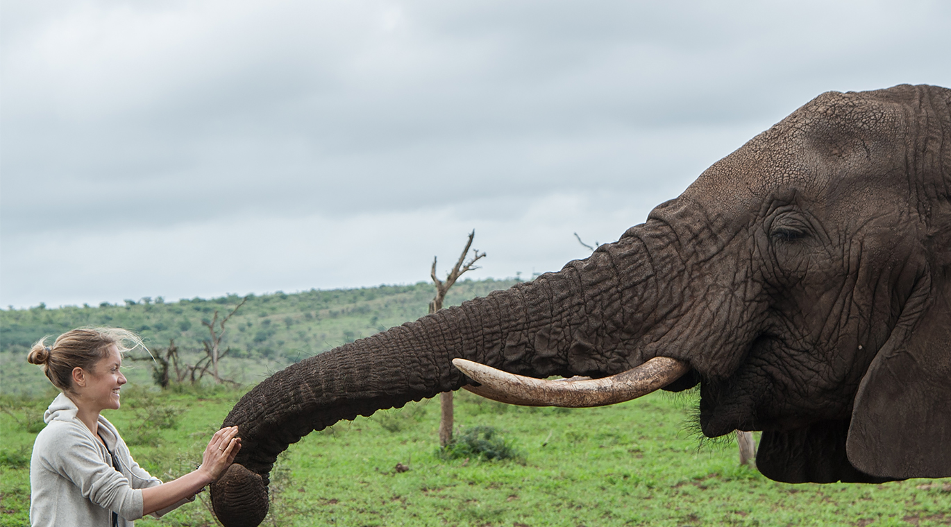Elephant Gin Campaign 2