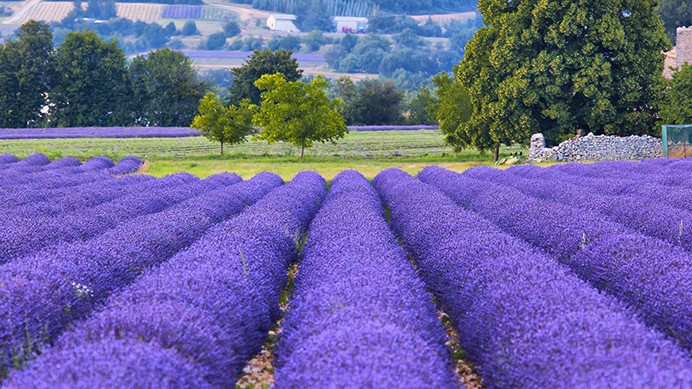 Skin Saviours: Hera Md Founder On Organic Beauty