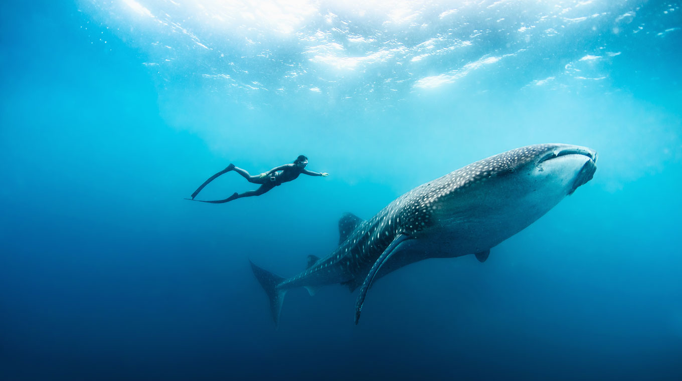 I Am Water Travel Hero Campaign 1