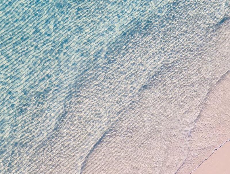 One Ocean Beauty
