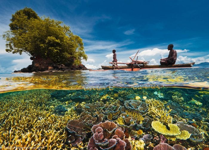 Paradise lost: how to save Coral Reef Biodiversity