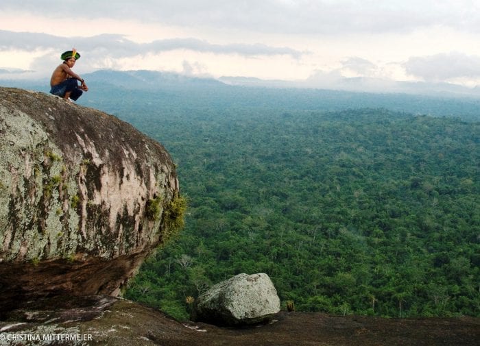 The Amazon wildfires: Five things you can do to help