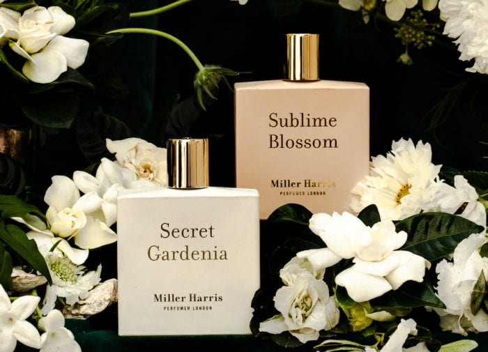 Find your new autumn fragrance