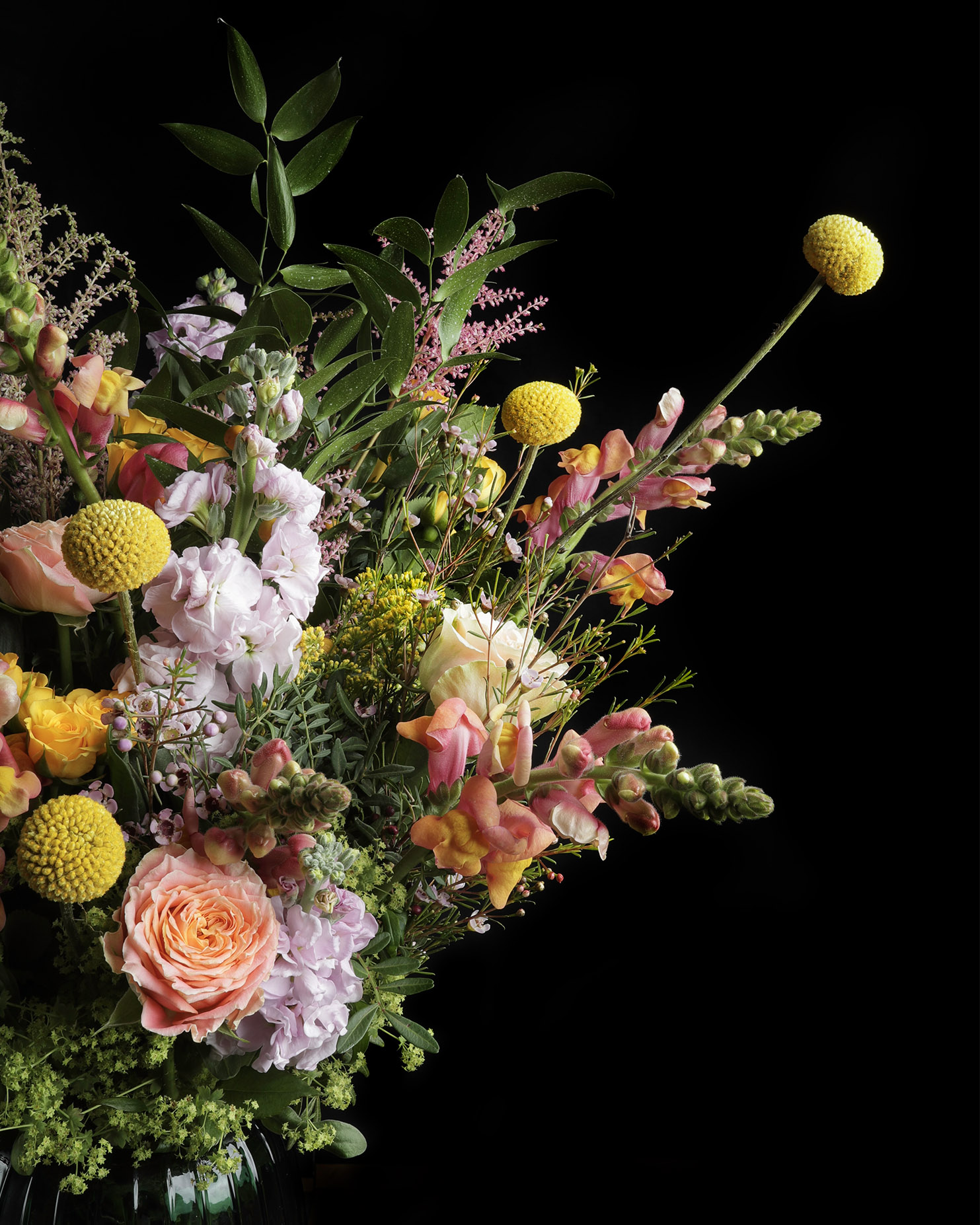 Picture of Arena flowers featured product.