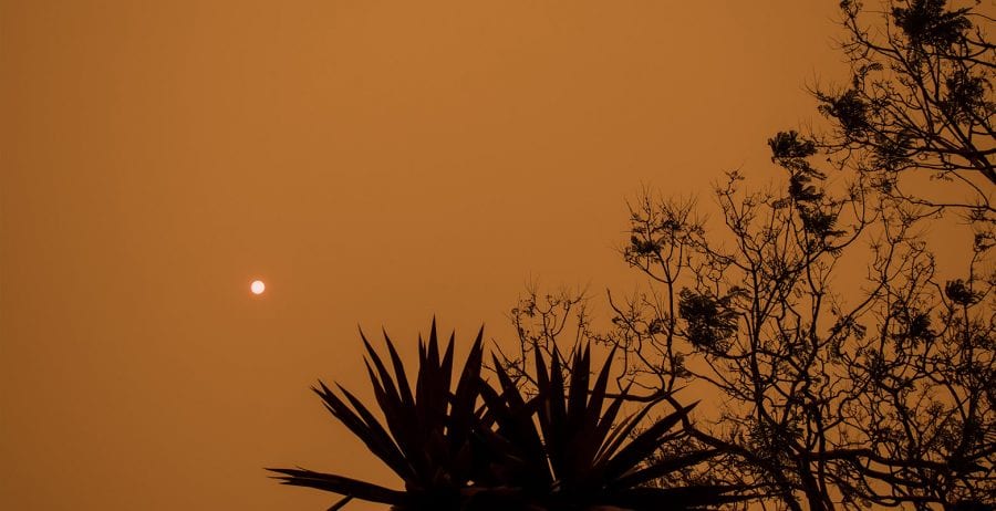 Australia fires: Four ways you can help