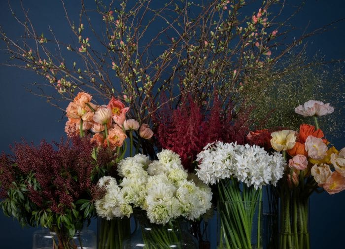 How to choose sustainable flowers for Valentine’s Day