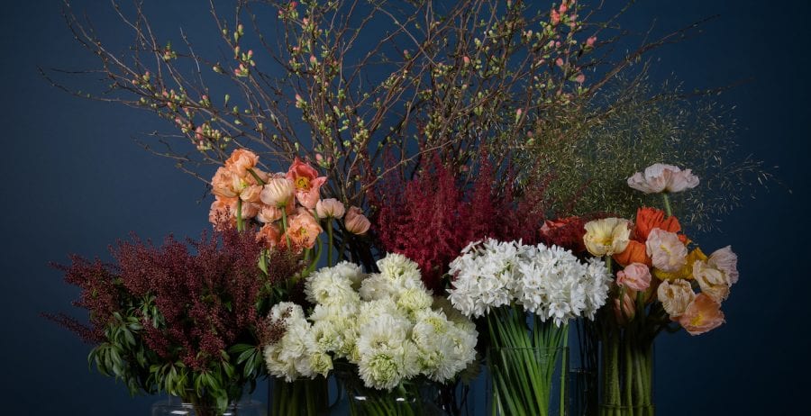 How to choose sustainable flowers for Valentine’s Day