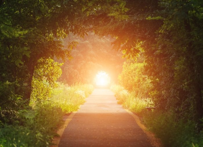 How to stay positive, from our Brands to Trust