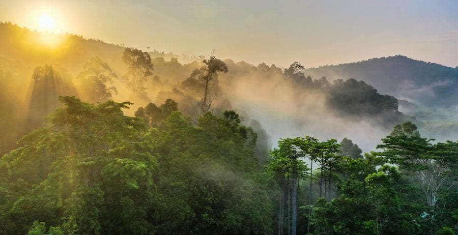 Celebrate Earth Day digitally this year