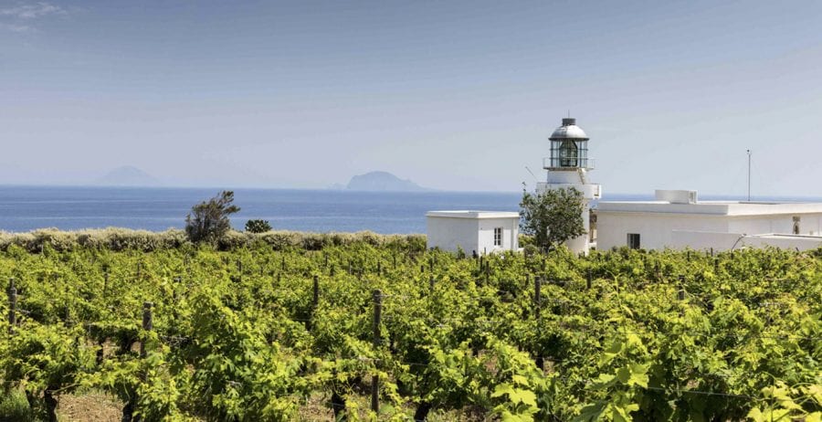 How the tourism industry is bolstering itself right now