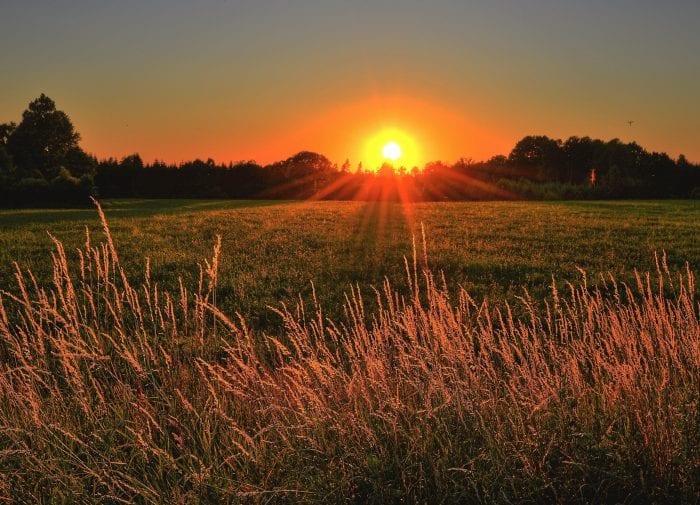 How eco-friendly is your sun protection?