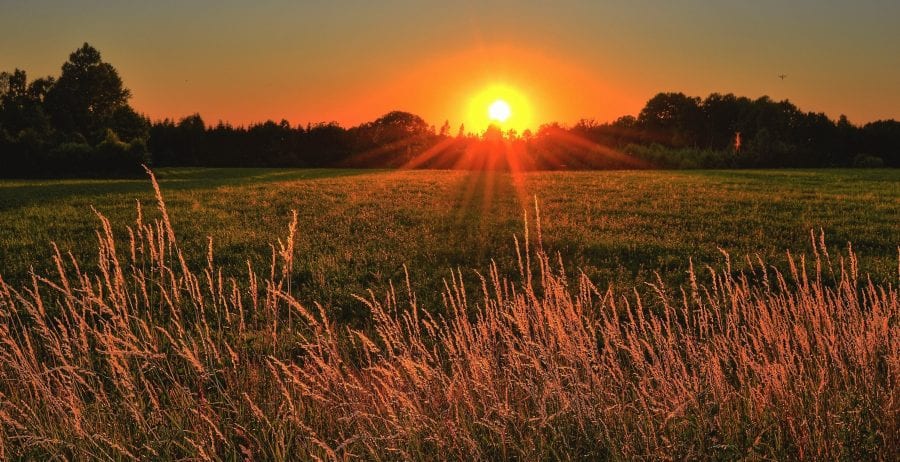 How eco-friendly is your sun protection?