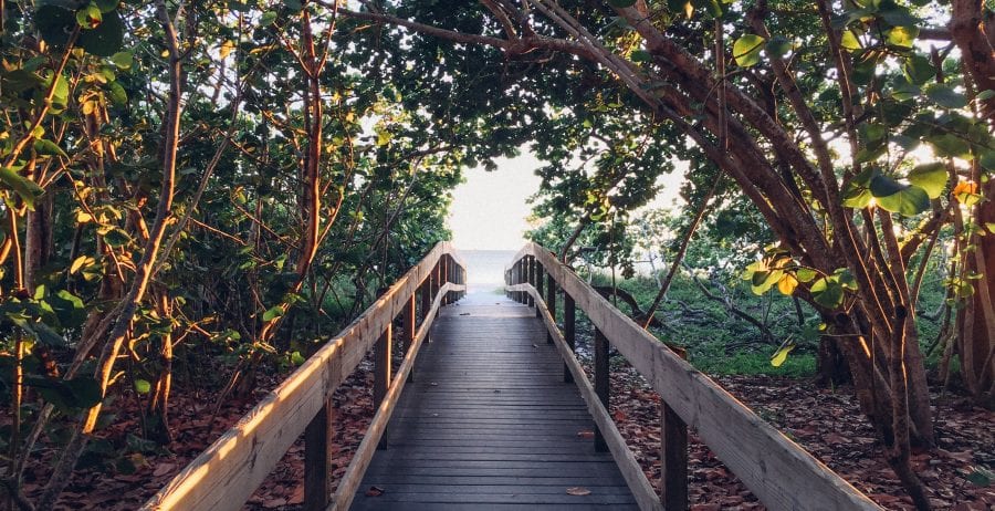 How reconnecting with nature can help you escape this summer