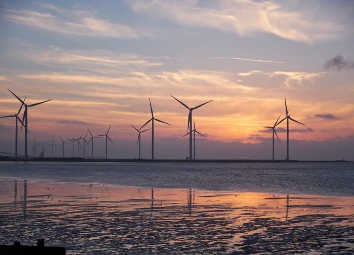 How to set sustainability goals in the aftermath of the pandemic