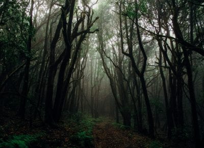 How luxury can do its part in protecting the ozone layer