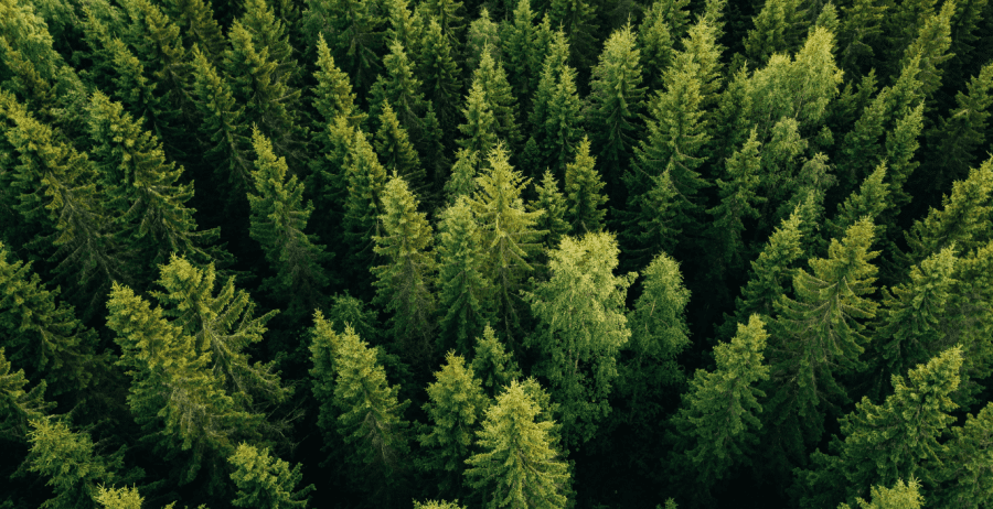 How do Positive Luxury brands value and respect nature?