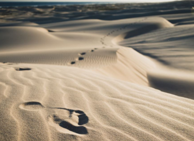 WHAT ARE YOUR SUSTAINABILITY GOALS FOR 2021?