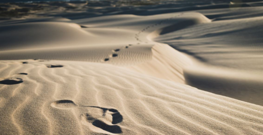 WHAT ARE YOUR SUSTAINABILITY GOALS FOR 2021?