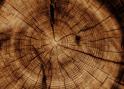 A company is not sustainable unless it embeds circularity. What small steps is your company taking to make changes over the next 5 years?