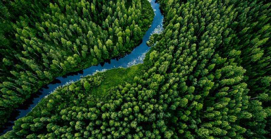 Businesses must give more back to the earth than they take out. What is your business doing to expand our idea of regeneration?