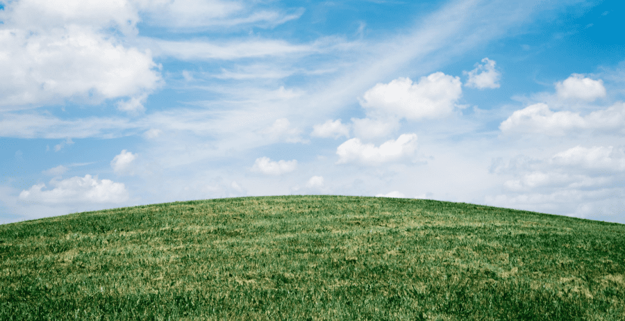 Understanding Carbon – New report coming soon
