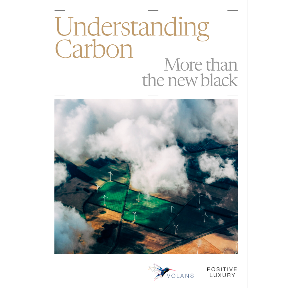 Carbon Report