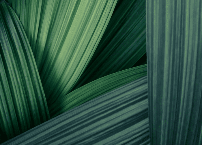 How do you plan to reduce damage to biodiversity over the next 5 years?
