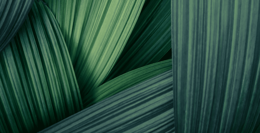 How do you plan to reduce damage to biodiversity over the next 5 years?