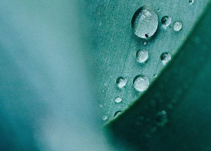 Que signifie vraiment le mot « Durabilité » ?