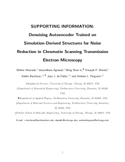 Denoising Autoencoder Trained on Simulation-Derived Structures for ...