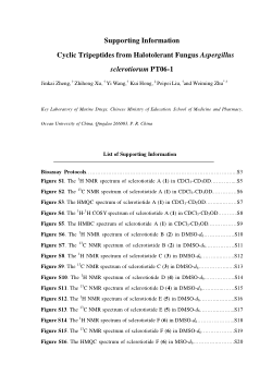 pt06