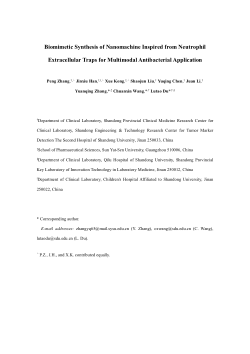 Biomimetic
Synthesis of Nanomachine Inspired from
Neutrophil Extracellular Traps for Multimodal Antibacterial Application