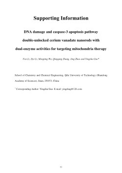 DNA Damage and Caspase‑3
Apoptosis Pathway
Double-Unlocked Cerium Vanadate Nanorods with Dual-Enzyme Activities
for Targeting Mitochondria Therapy