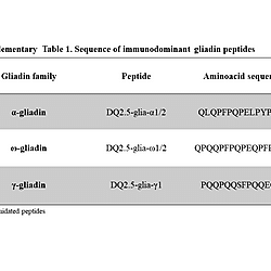 T-cell mediated immunity to gliadin is elicited in the gut mucosa of type 1 diabetes patients only in presence of celiac disease comorbidity