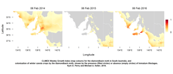 Diamondback moth colonisation of canola crops in South Australia and CLIMEX Weekly Growth Index.mp4
