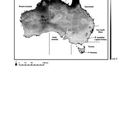 Rabbit probability occurrence - Black and white figure