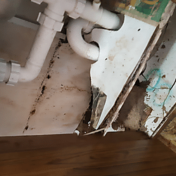 RENTAL HOUSING CONDITIONS CITIZEN SCIENCE PHOTO GALLERY