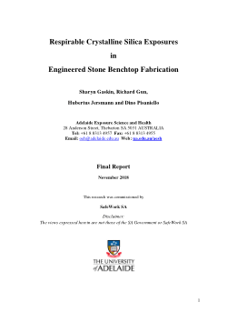 SWSA UoA Engineered Stone Benchtops Final Report for open access.pdf