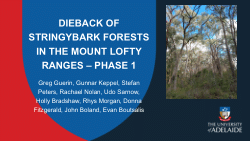 DIEBACK OF STRINGYBARK FORESTS IN THE MOUNT LOFTY RANGES – PHASE 1 (presentation)