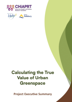 Calculating the True Value of Urban Greenspace | Project Executive Summary