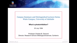 What is photoinhibition?