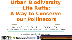 Urban Biodiversity Life Rafts: A Way to Conserve our Pollinators