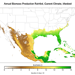 Data from: Expanded potential growing region and yield increase for Agave americana with future climate
